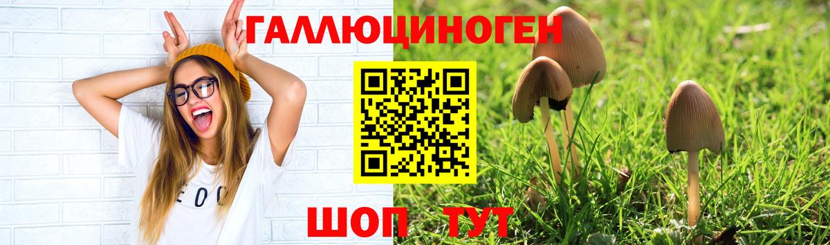 Псилоцибиновые грибы прущие грибы Краснодар